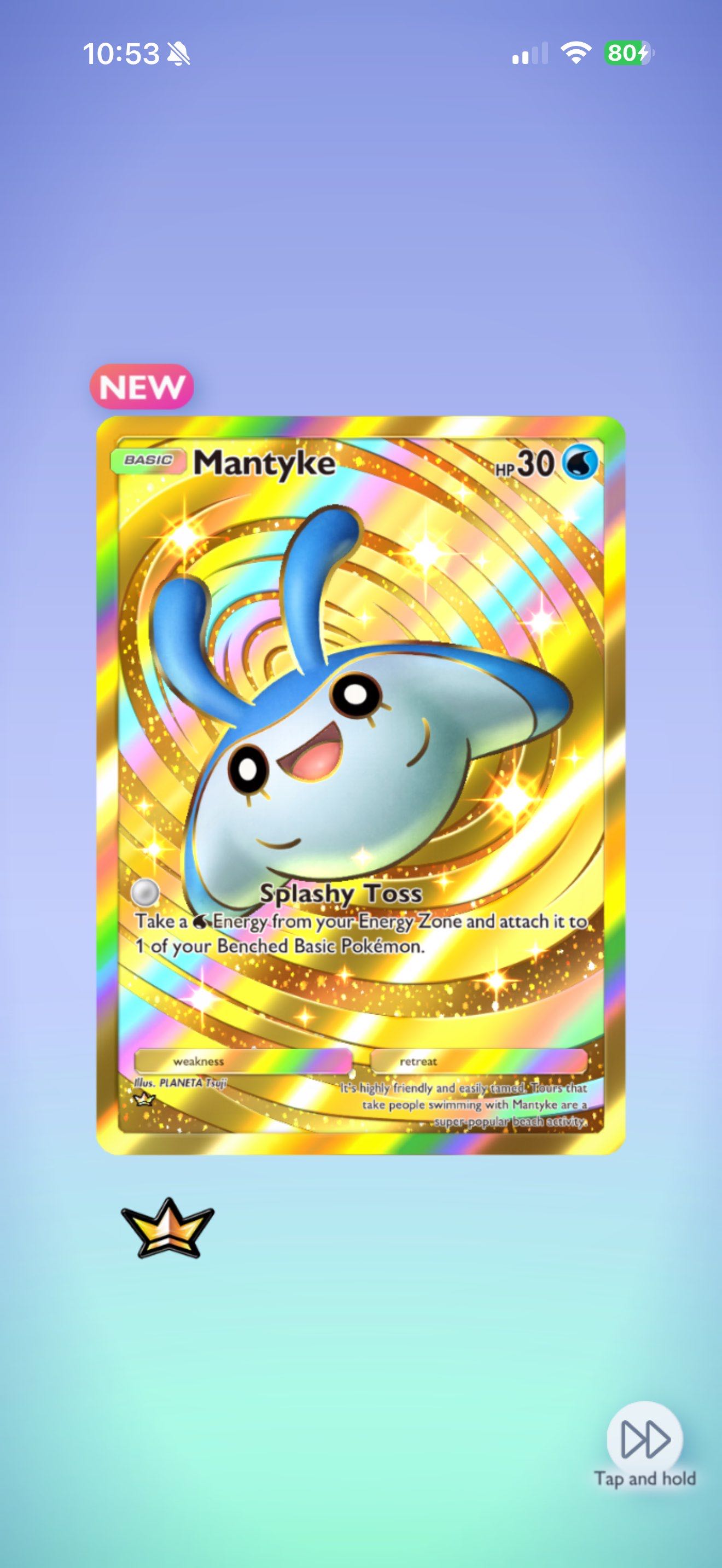 Mantyke 1